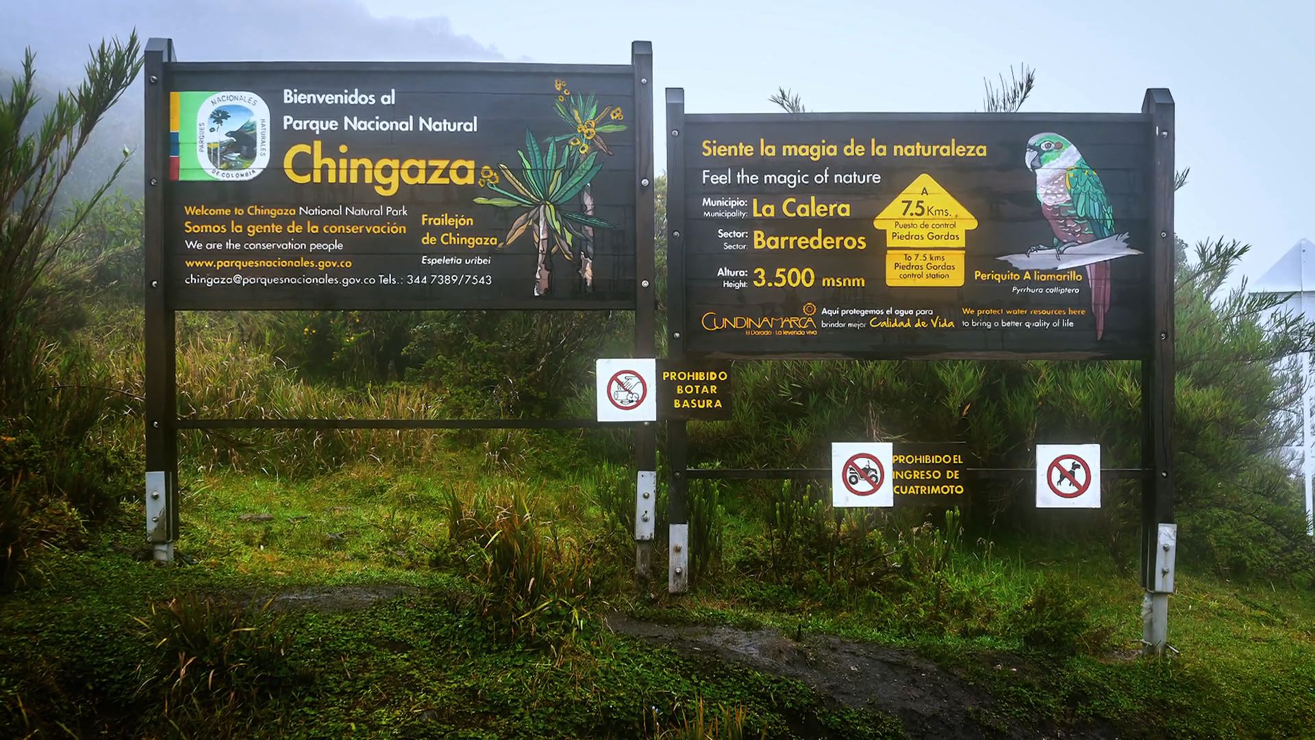 chingaza2
