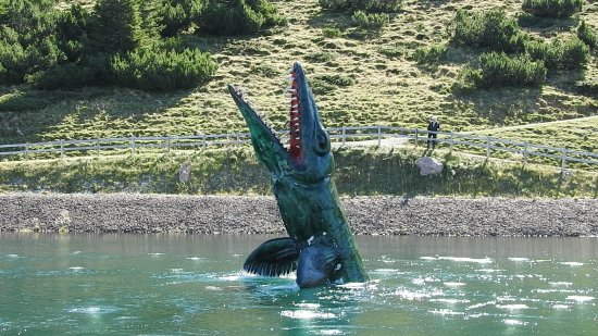 dino