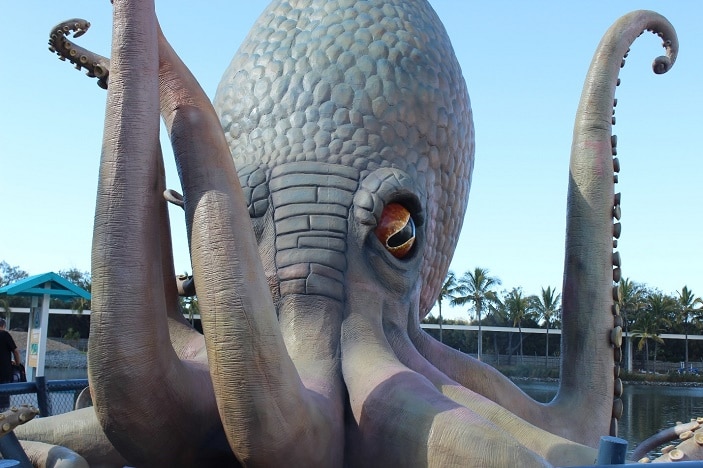 kraken