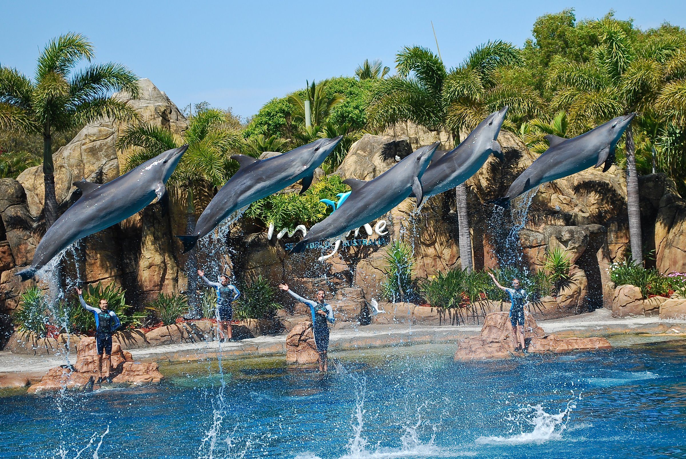 sea-world-gc-2